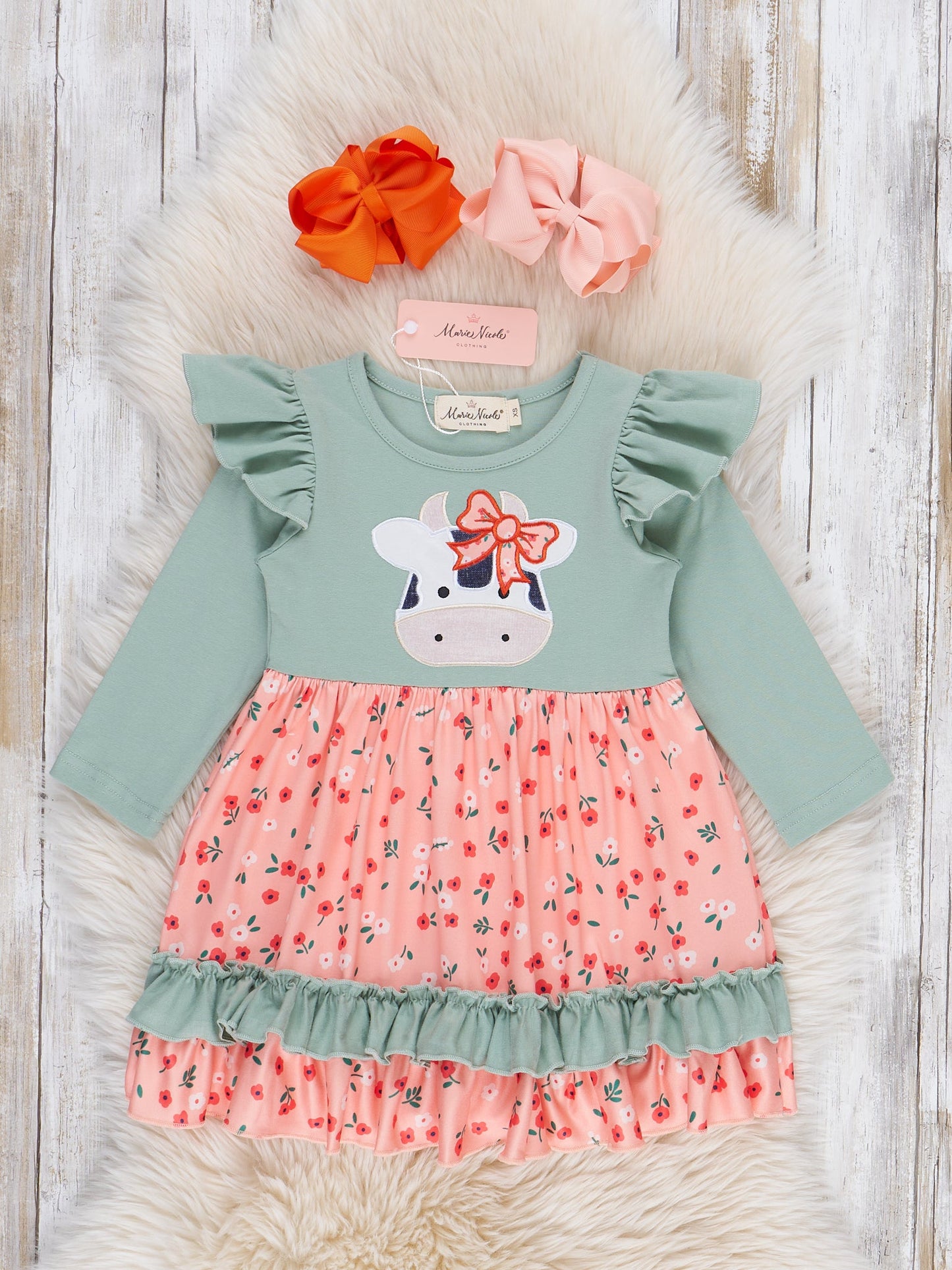 Mint & Coral Embroidered Cow Floral Ruffle Dress