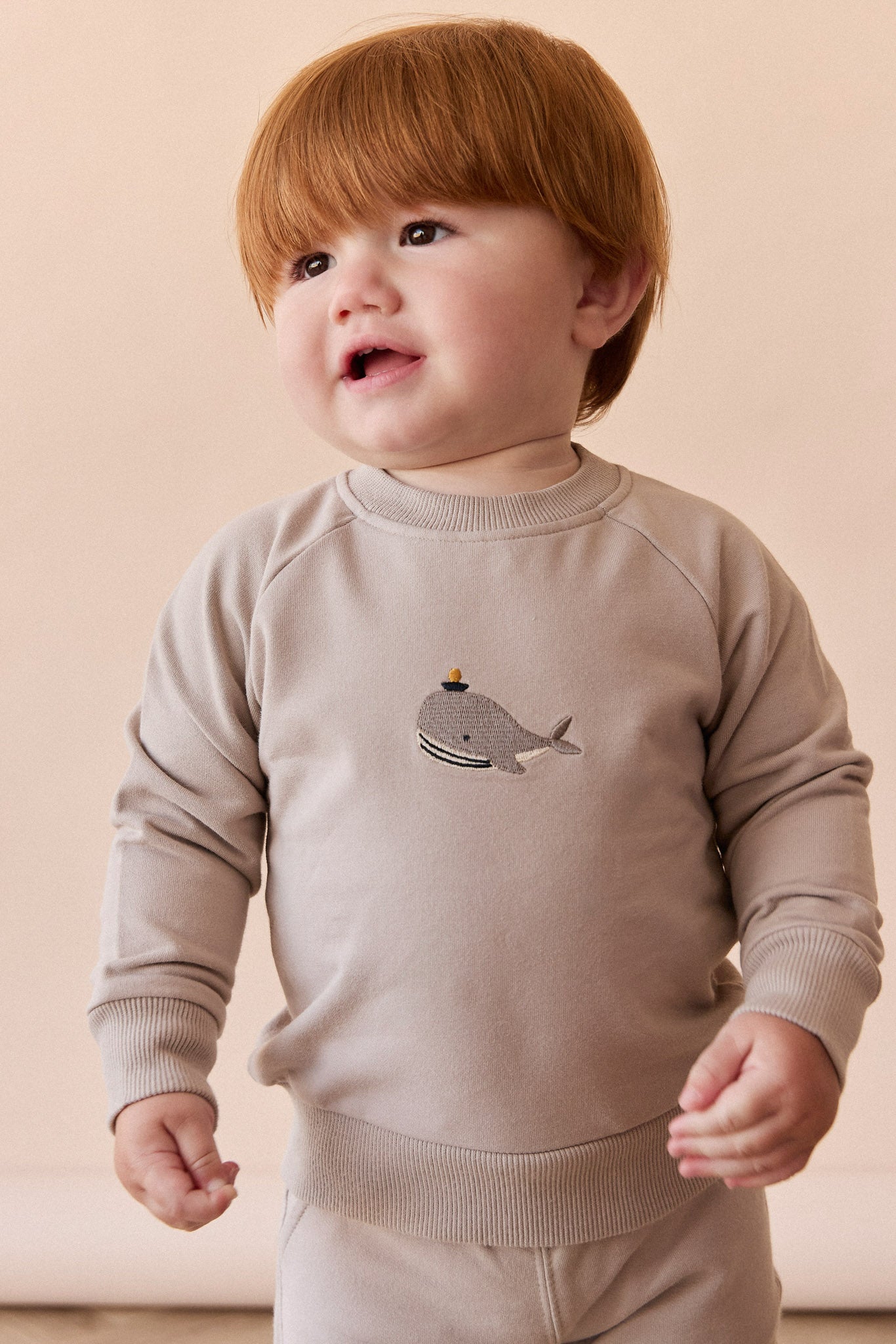 Organic Cotton Jermaine Sweatshirt - Hazy Taupe Whale