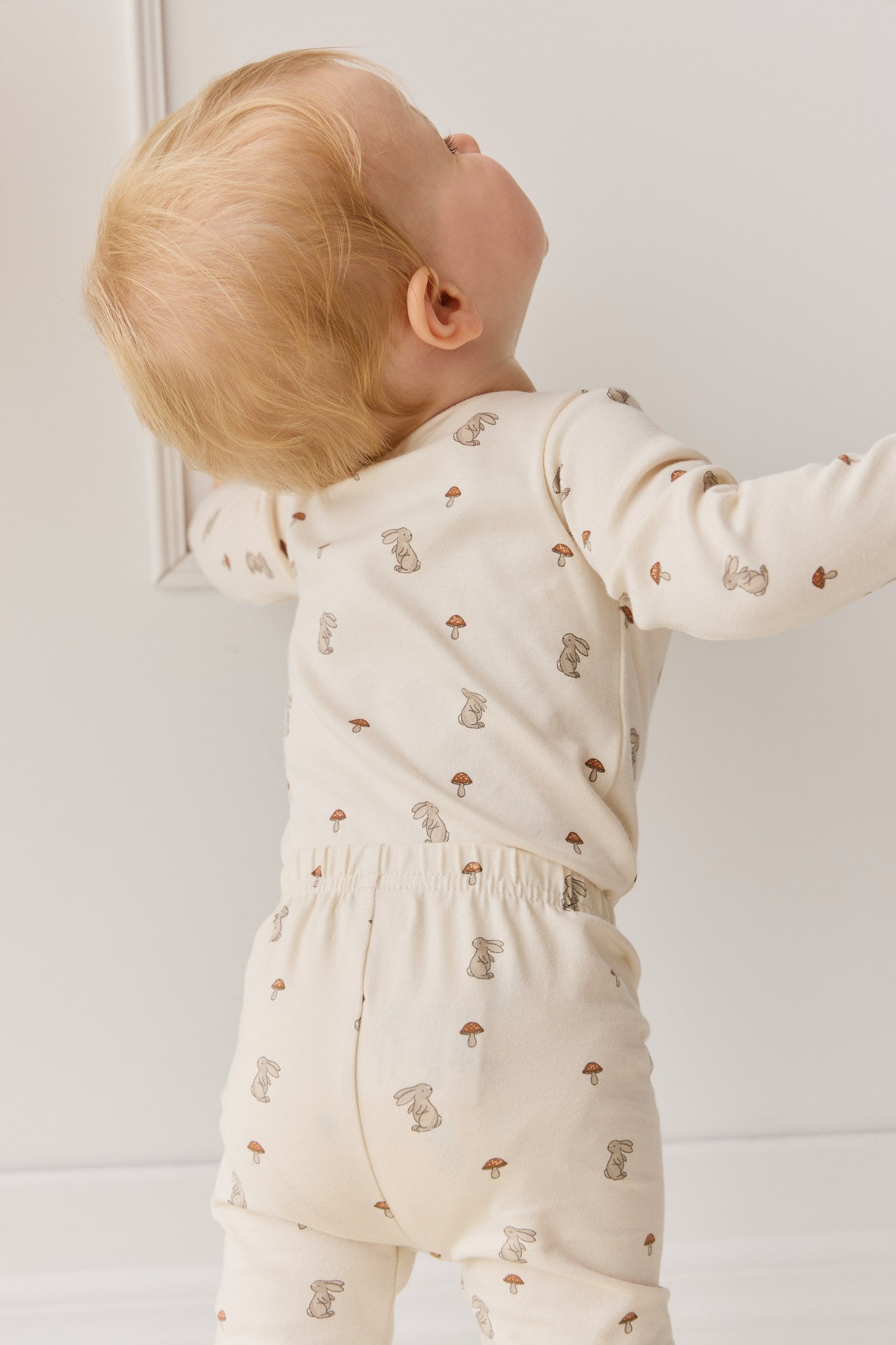 Organic Cotton Fernley Bodysuit - Le Lapin