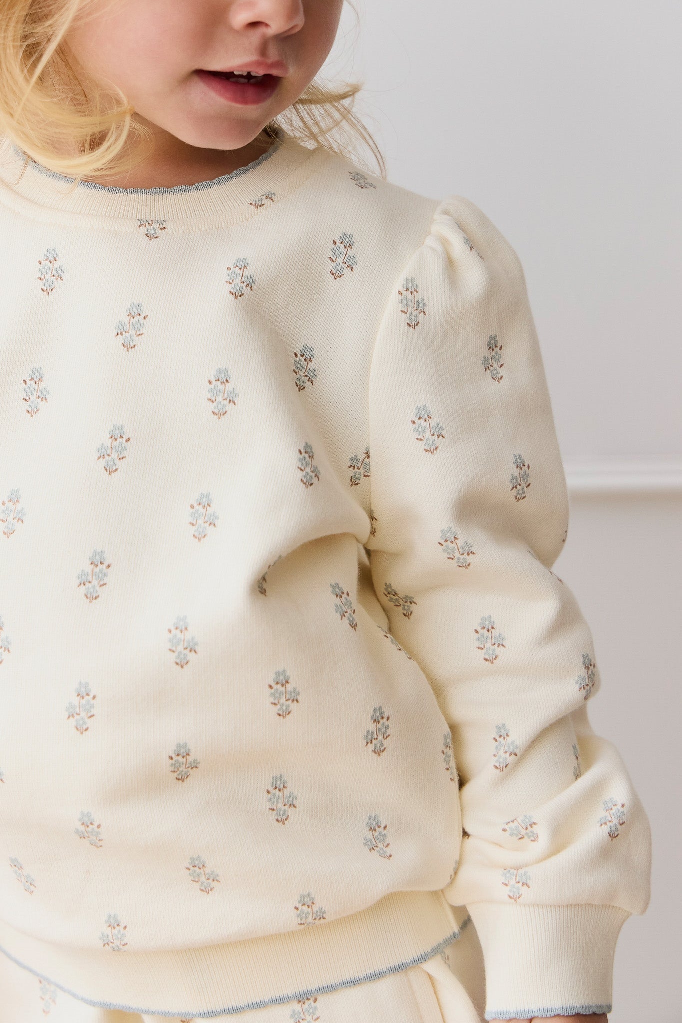 Organic Cotton Monroe Sweatshirt - Rachelle Blue Fox