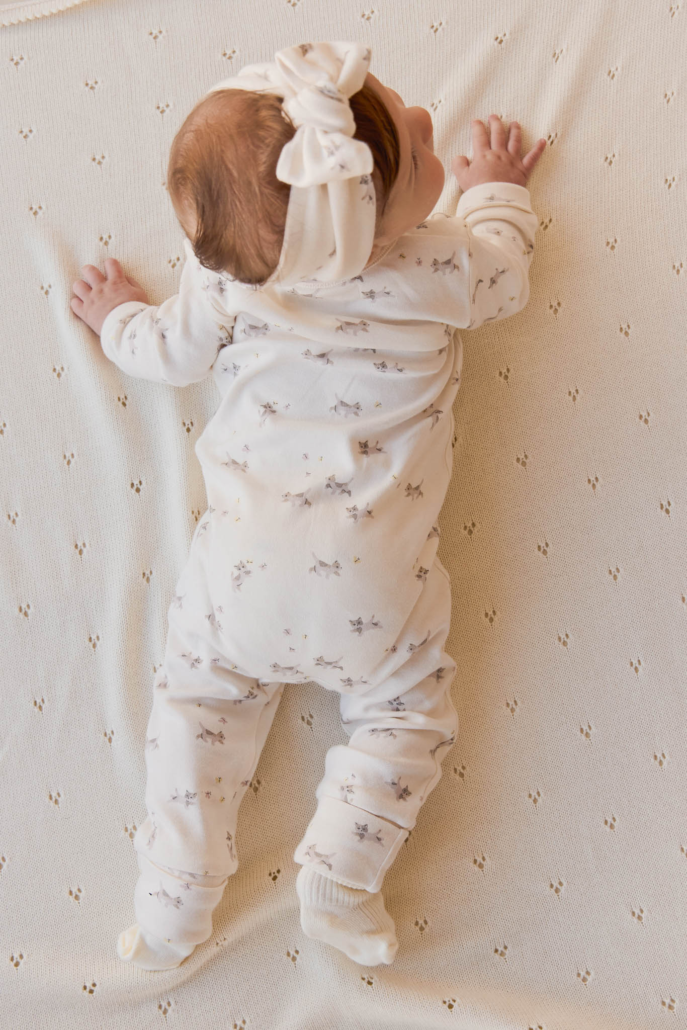 Organic Cotton Headband - Playful Kittens