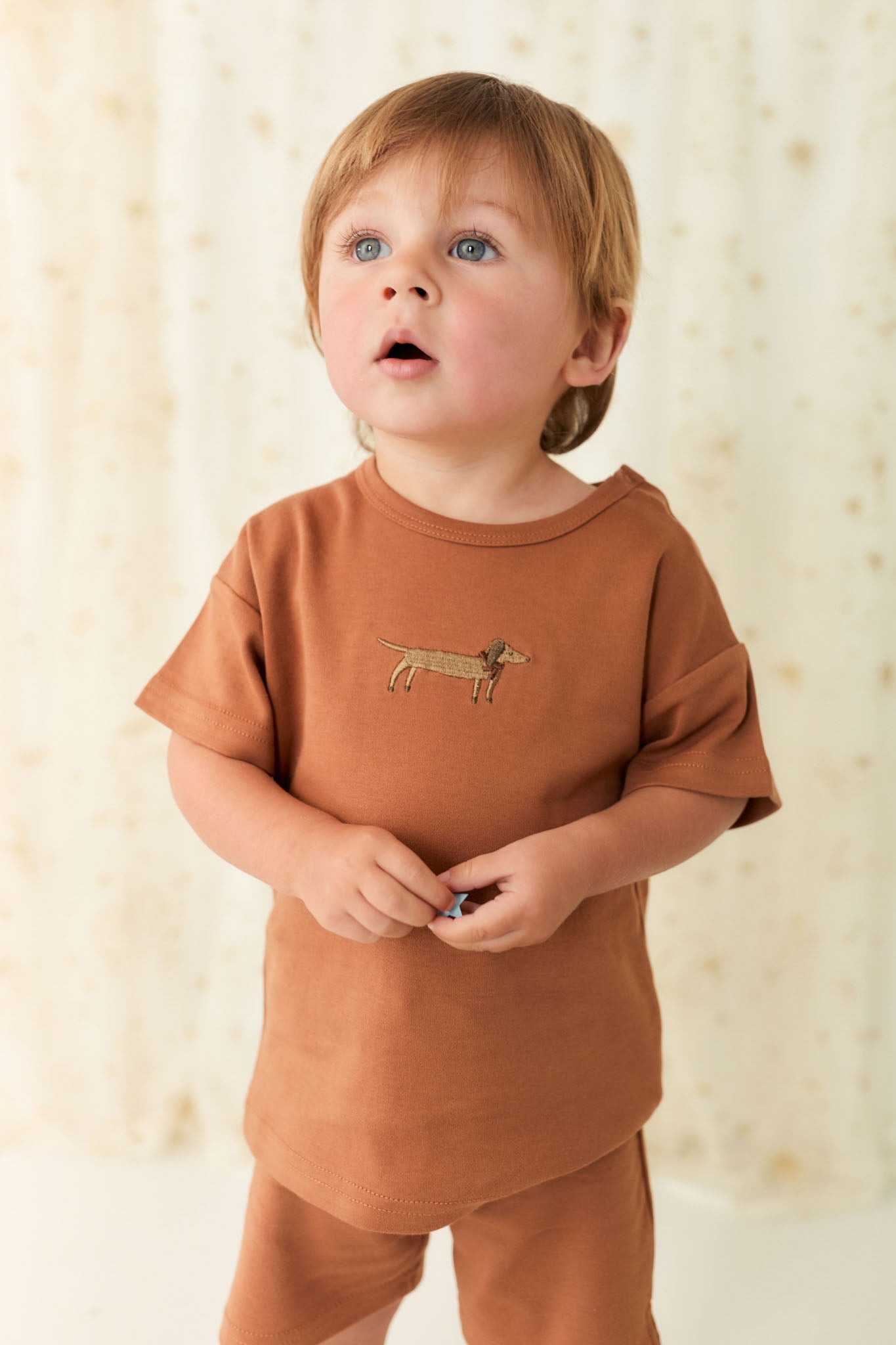 Pima Cotton Eddie T-Shirt - Spiced Cosy Basil