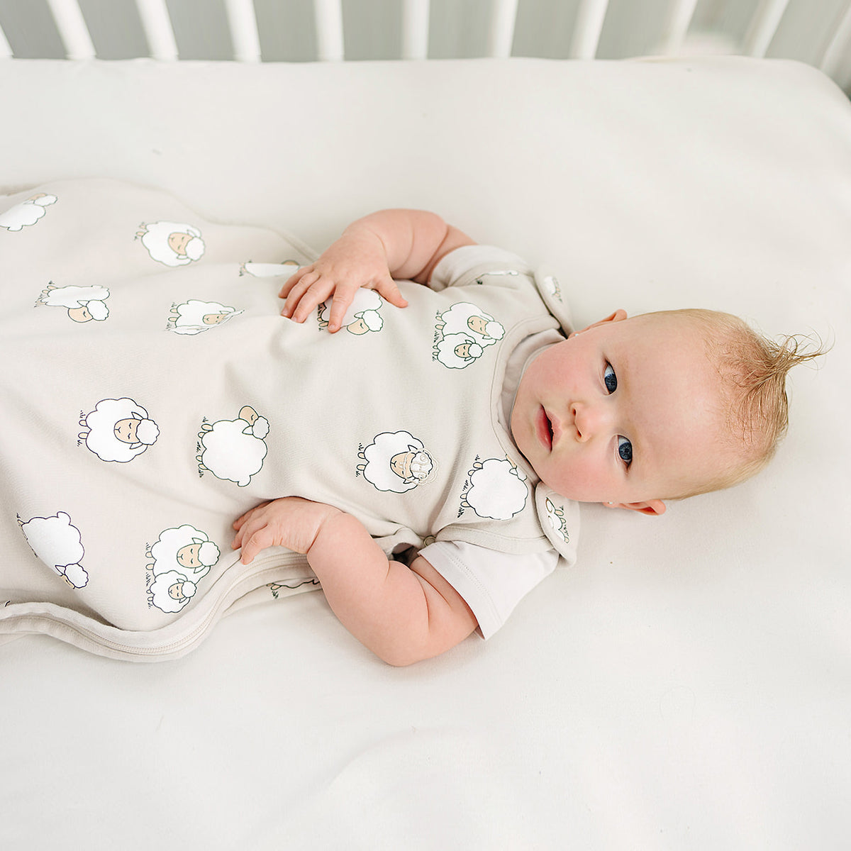4 Season® Ultimate Baby Sleep Bag, Merino Wool & Organic Cotton, Sheep