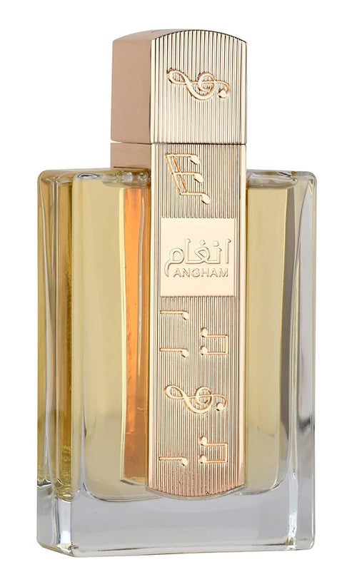 Buy 1, Grab 3 – Luxury Scents for Less + Free Shipping! 🎉
