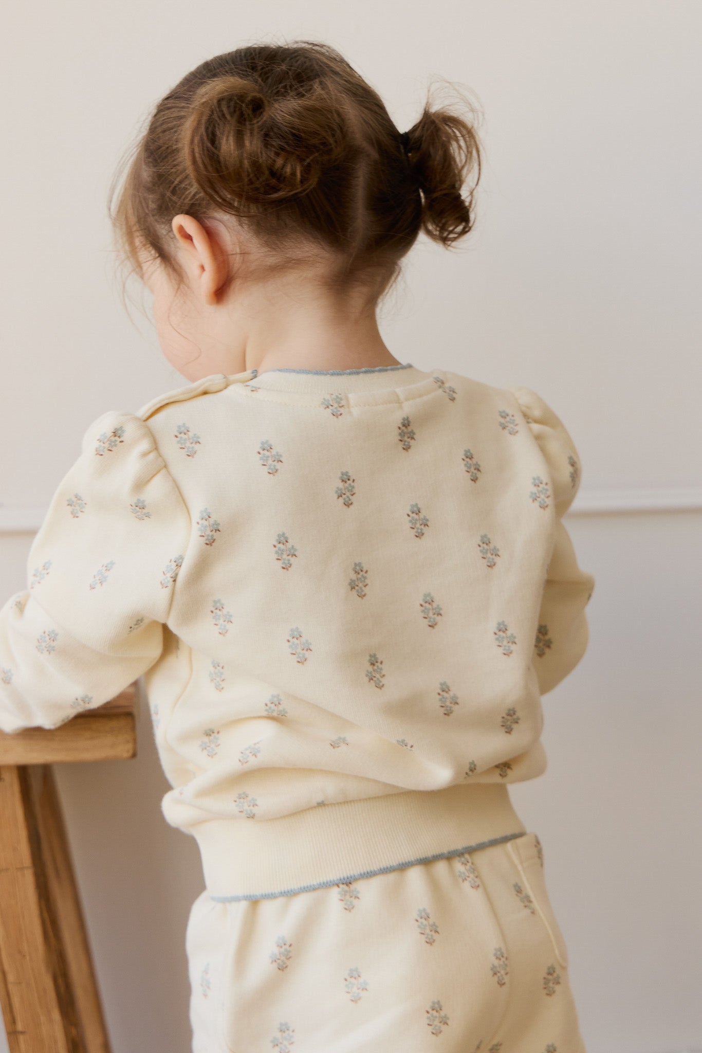 Organic Cotton Monroe Sweatshirt - Rachelle Blue Fox