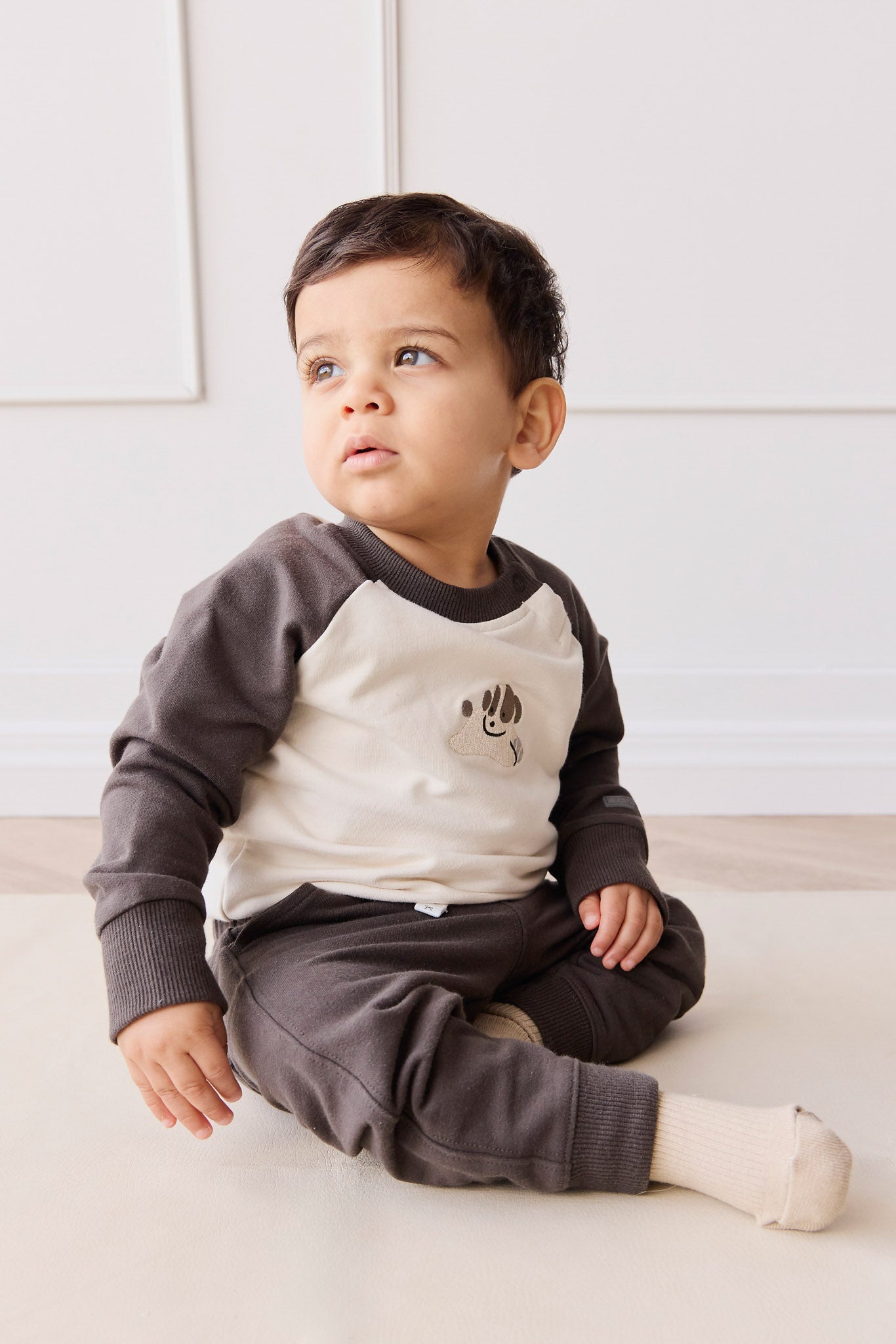 Organic Cotton Tao Sweatshirt - Pinecone/Cloud Sasha Puppy