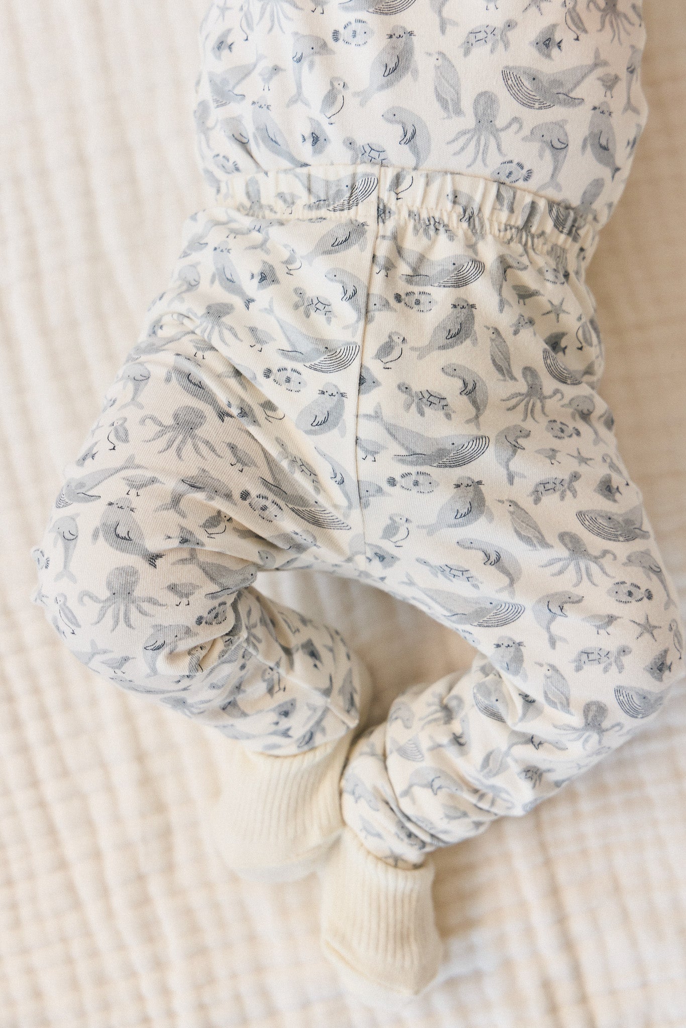 Organic Cotton Everyday Legging - Sea Life