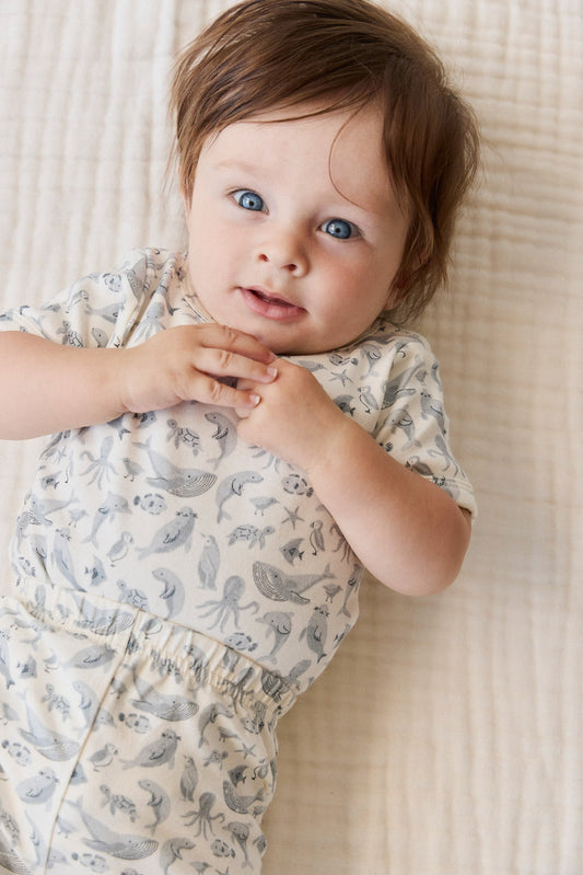 Organic Cotton Hudson Short Sleeve Bodysuit - Sea Life