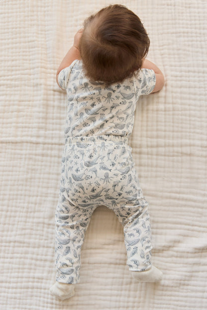 Organic Cotton Hudson Short Sleeve Bodysuit - Sea Life
