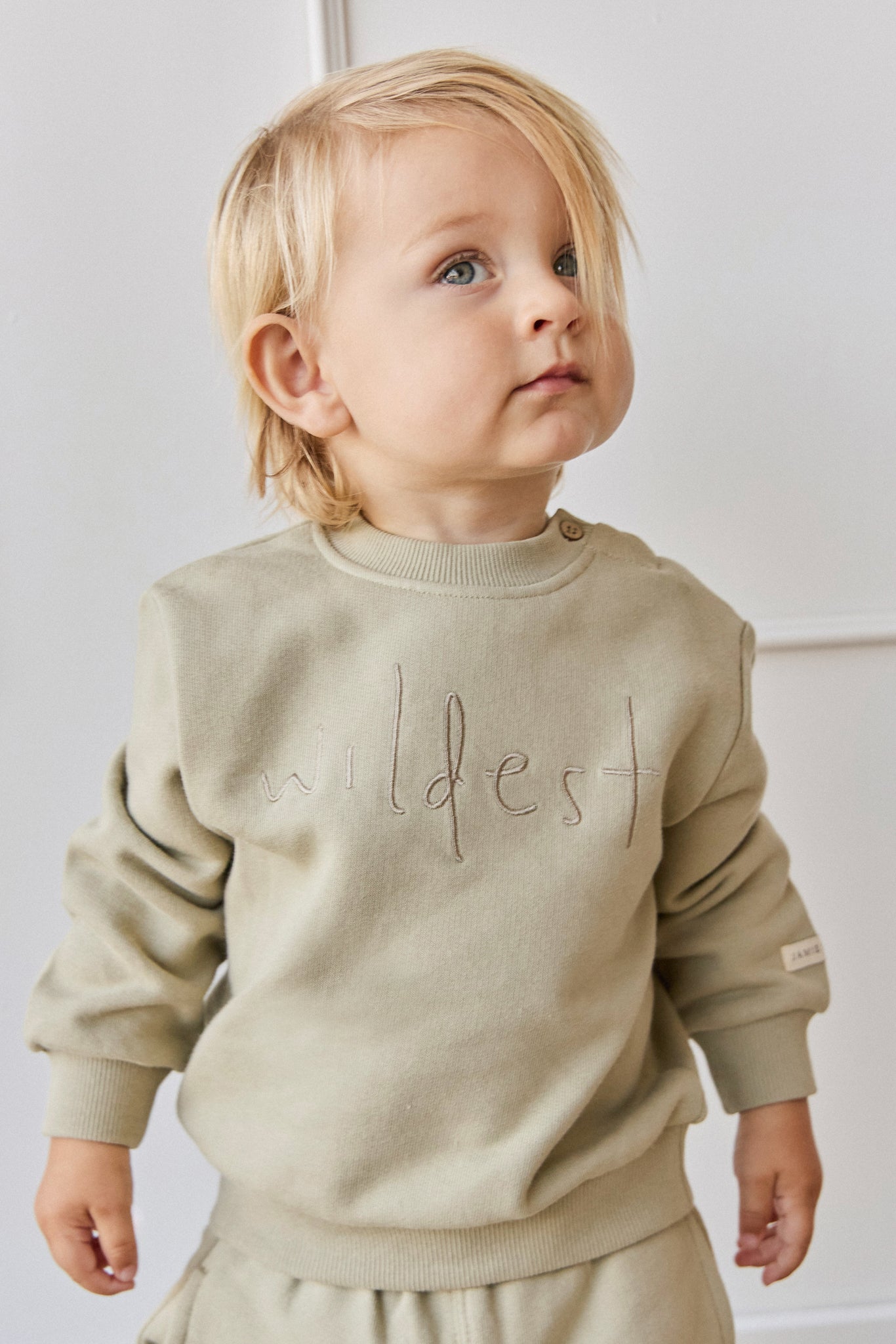 Organic Cotton Dominic Sweatshirt - Pampas Wildest