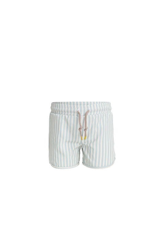 Declan Board Short - Variegated Stripe Cenote