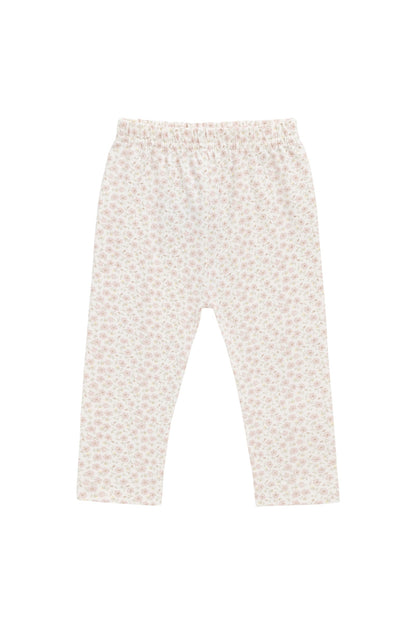 Organic Cotton Everyday Legging - Penelope Rose Small
