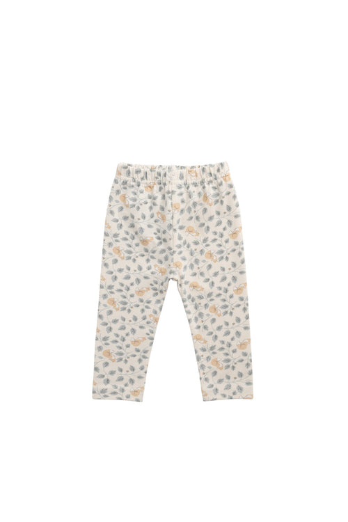 Organic Cotton Everyday Legging - Freddie Fox
