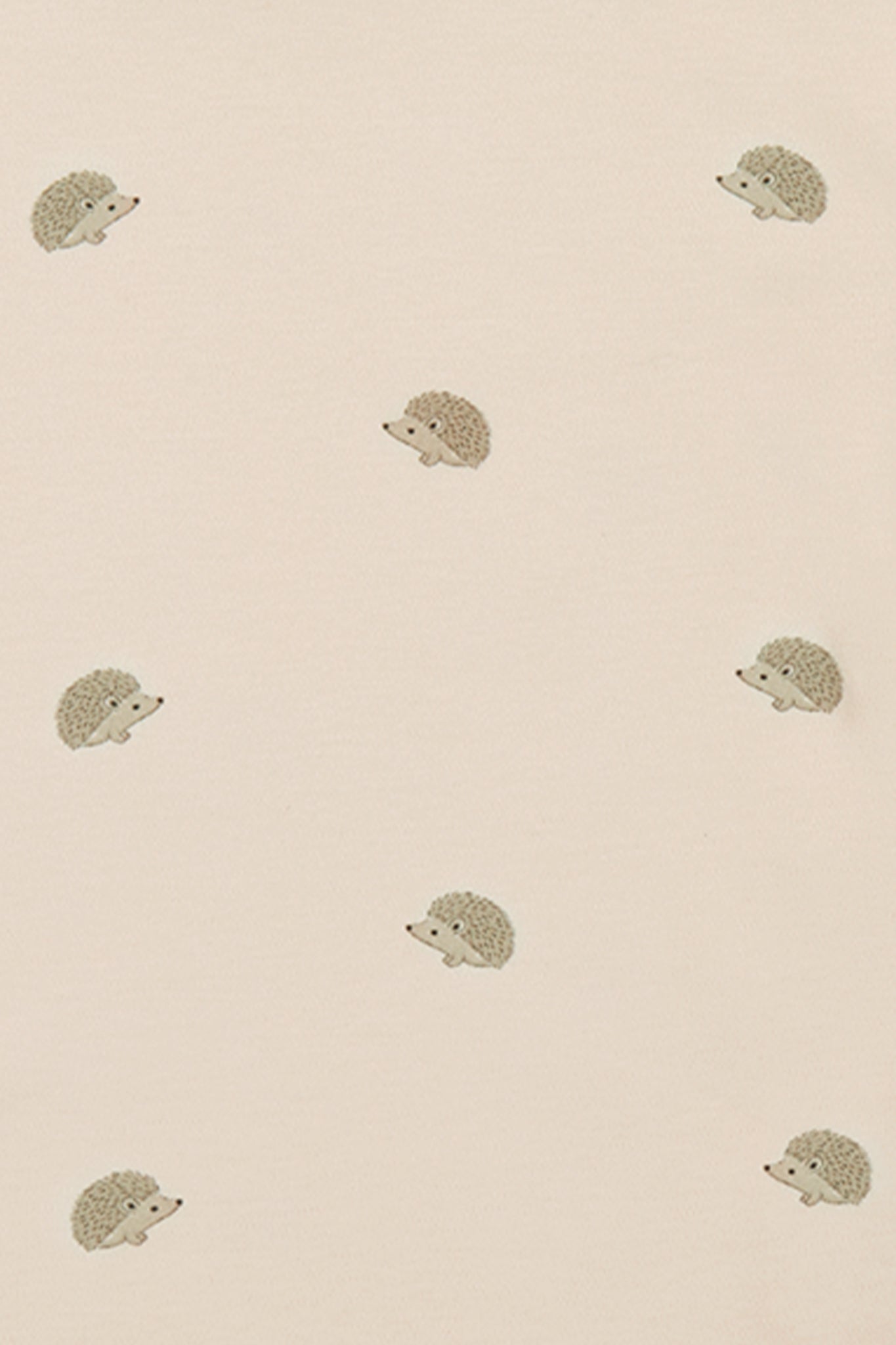 Pima Cotton Eddie T-Shirt - Henry Hedgehog Birch